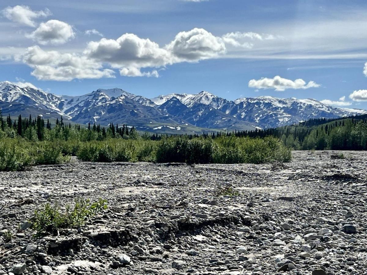 Denali Natl Park 3 Bedroom Home On 5 Acres, Hiking And Wildlife Хілі Екстер'єр фото