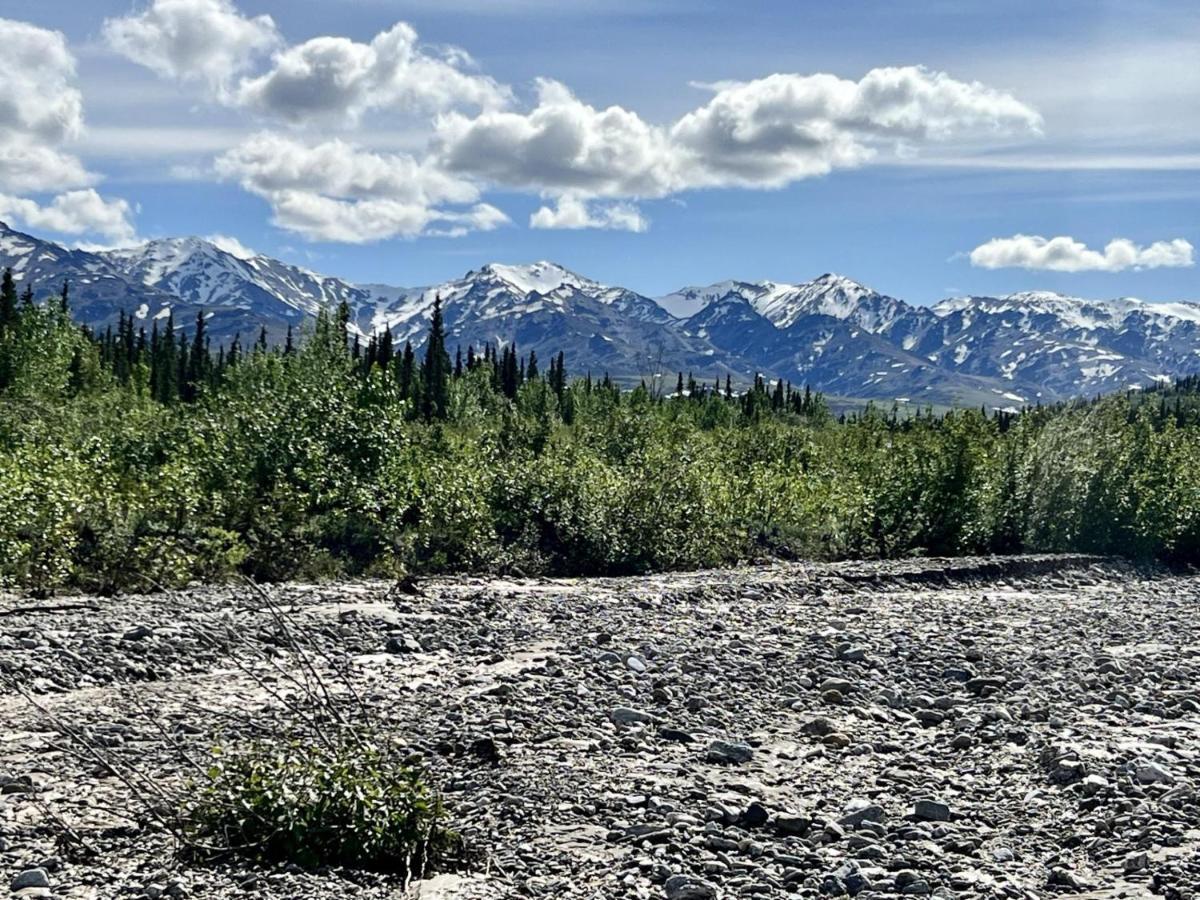 Denali Natl Park 3 Bedroom Home On 5 Acres, Hiking And Wildlife Хілі Екстер'єр фото